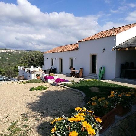 Appartamento L'Albero Magico Nella Campagna Gallurese Santa Teresa Gallura Exteriör bild