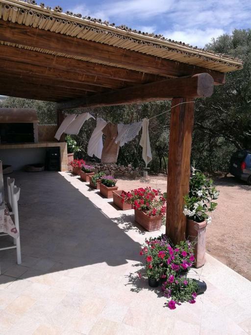 Appartamento L'Albero Magico Nella Campagna Gallurese Santa Teresa Gallura Exteriör bild