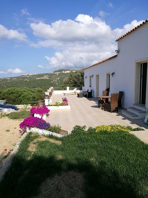 Appartamento L'Albero Magico Nella Campagna Gallurese Santa Teresa Gallura Exteriör bild
