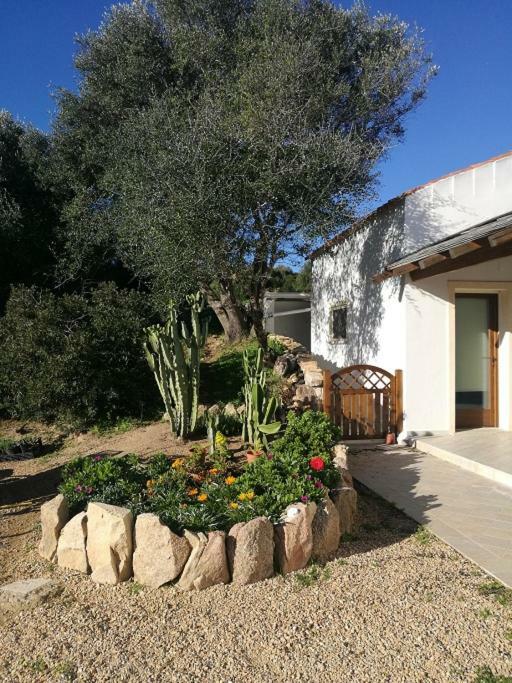 Appartamento L'Albero Magico Nella Campagna Gallurese Santa Teresa Gallura Exteriör bild
