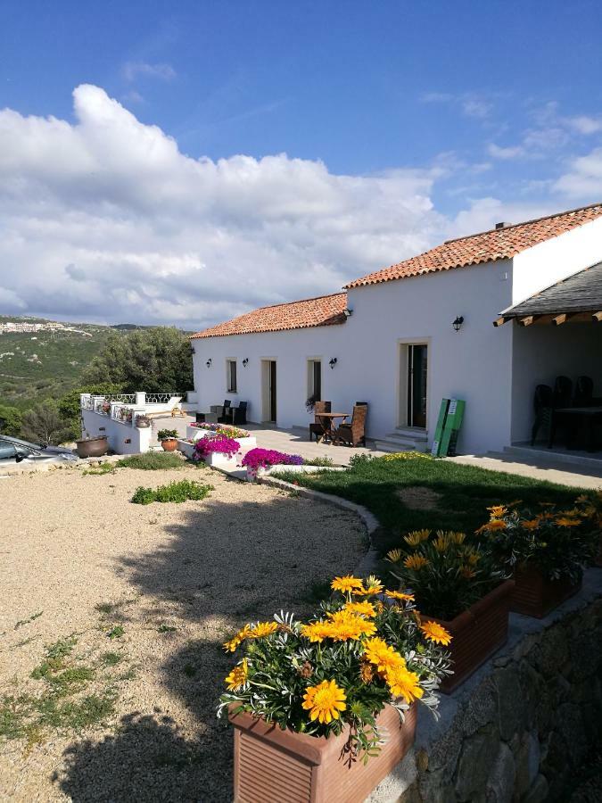 Appartamento L'Albero Magico Nella Campagna Gallurese Santa Teresa Gallura Exteriör bild